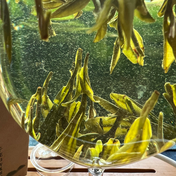 Long Jing 'Sárkánykút' zöld tea