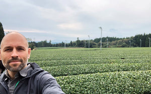 Sencha tea