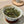 Gong Mei fehér tea