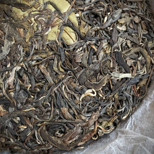 Jingmai őszi Shengtai sheng 2017