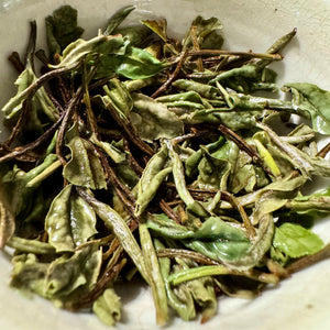 Gong Mei fehér tea