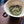 Bai Hao Yin Zhen white tea