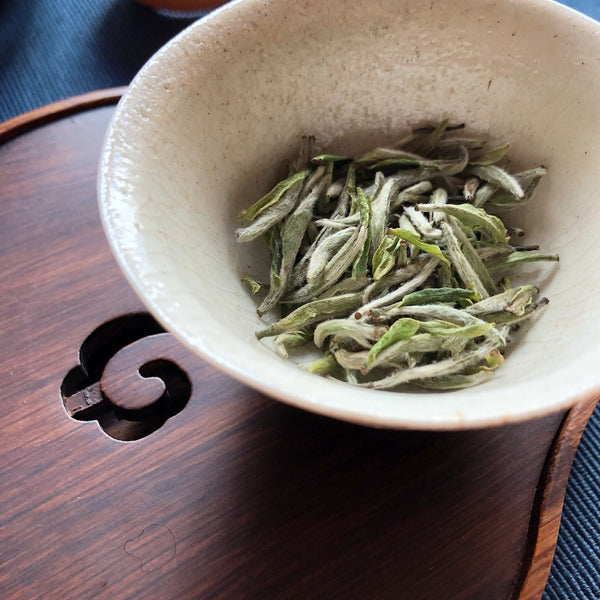 Bai Hao Yin Zhen white tea