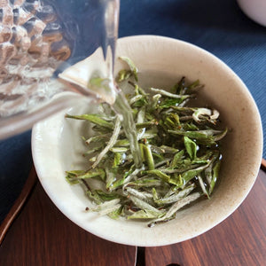 Bai hao yin zhen rügytea