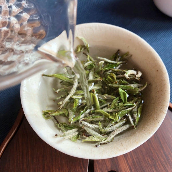 Bai hao yin zhen rügytea