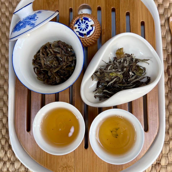 Bai Mu Dan 2017
