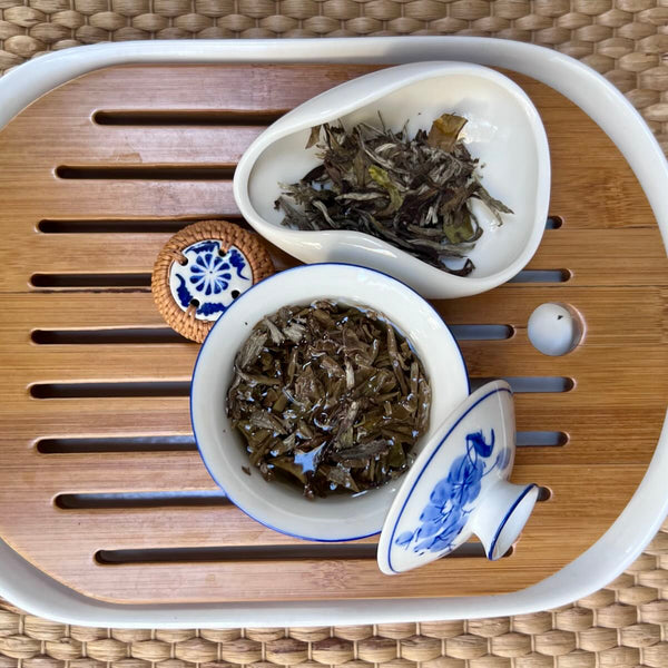 Bai Mu Dan 2017