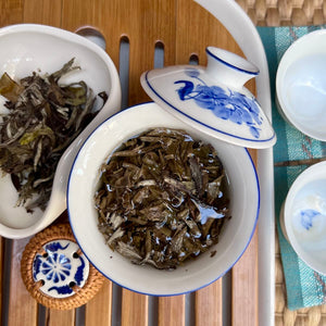 Bai Mu Dan 2017