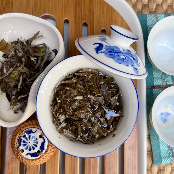 Bai Mu Dan 2017