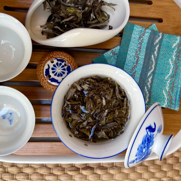 Bai Mu Dan 2017