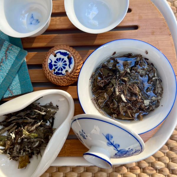 Bai Mu Dan 2017