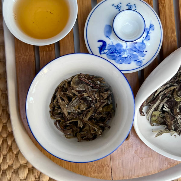 Bai Mu Dan 2017