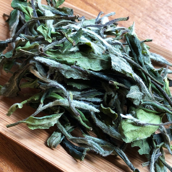 Bai Mu Dan 2022 white tea