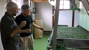 Video 2 trigger image