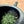 Blue kyusu Japanese teapot