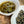 Qing Xin 10% Oolong