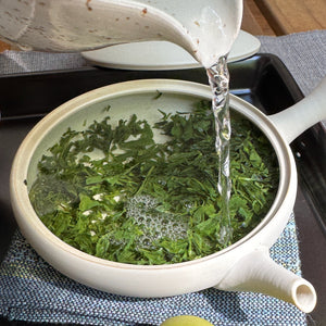 Shincha Asanoka