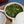 Agata no mori sencha