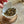 Shou Mei white tea 2017