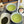 Fukamushi Sencha - Yame