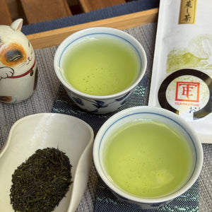 Fukamushi Sencha - Yame