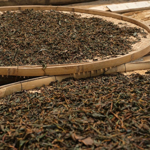 Jingmai Nanzuo Shai Hong – Napérlelt Yunnani Vörös Tea