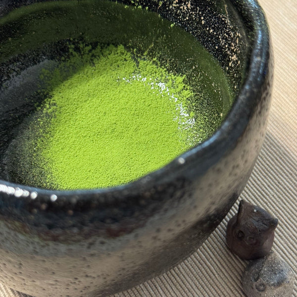 Matcha Kiwami