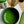 Matcha Togawa no mukashi