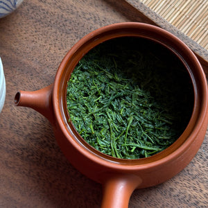 Tsuyuhikari sencha