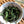 Bai Mu Dan 2022 white tea
