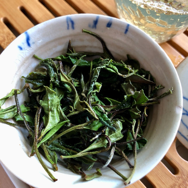 Bai Mu Dan 2022 white tea