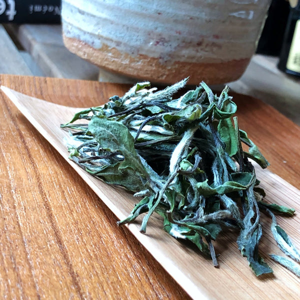 Bai Mu Dan 2022 white tea
