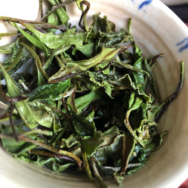 Bai Mu Dan 2022 white tea