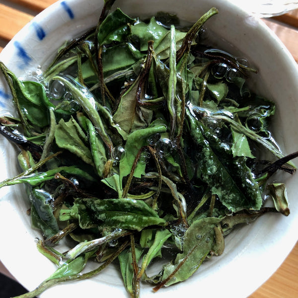 Bai Mu Dan 2022 white tea