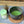 Matcha Hatsu mukashi