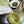 Kumaen Fukamushi Sencha