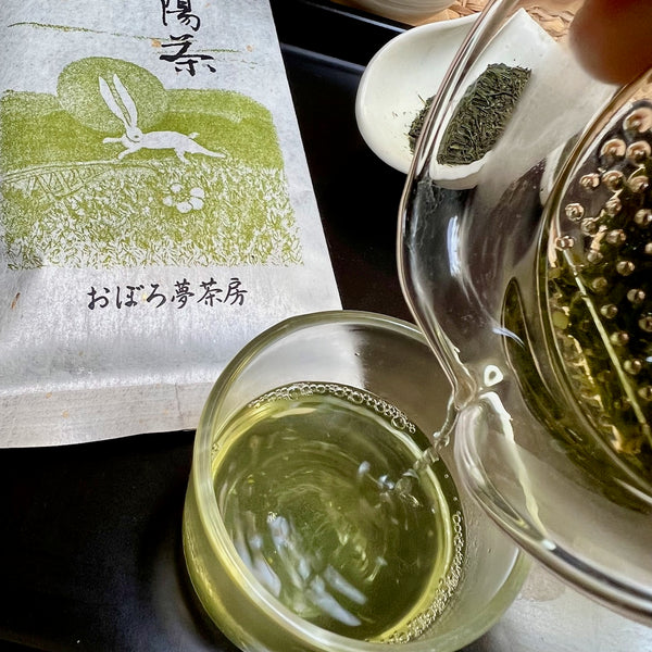 Kumaen Fukamushi Sencha
