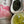 Kumaen Sencha