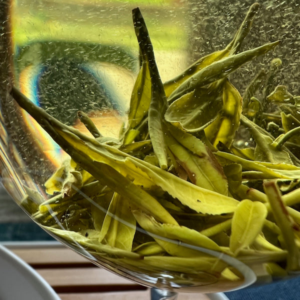 Long Jing 'Sárkánykút' zöld tea