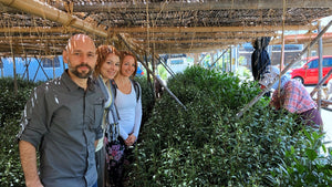 Video 3 trigger image