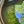 Shincha sencha Oosawa