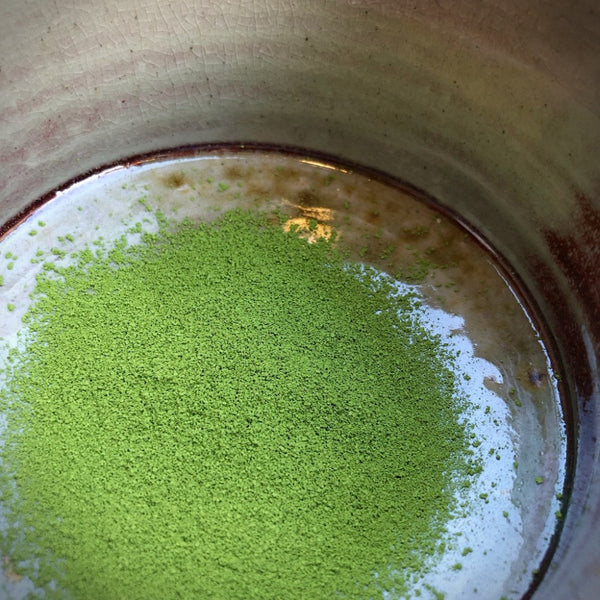Matcha Shoujyu