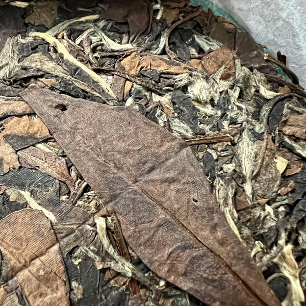 Shou Mei white tea 2017