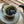 Shui Jin Gui rock oolong