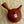 Shudei agyag Kyusu teakanna