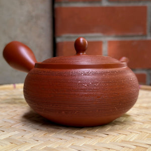 Shunjū 朱松皮 Tokoname kyusu teakanna
