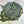 Yamadashi Sencha (aracha)