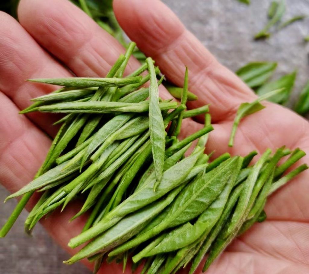 Bai Hao Yin Zhen - Silver needle budded white tea